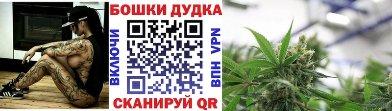наркотики  Тында  Марихуана SATIVA & INDICA 